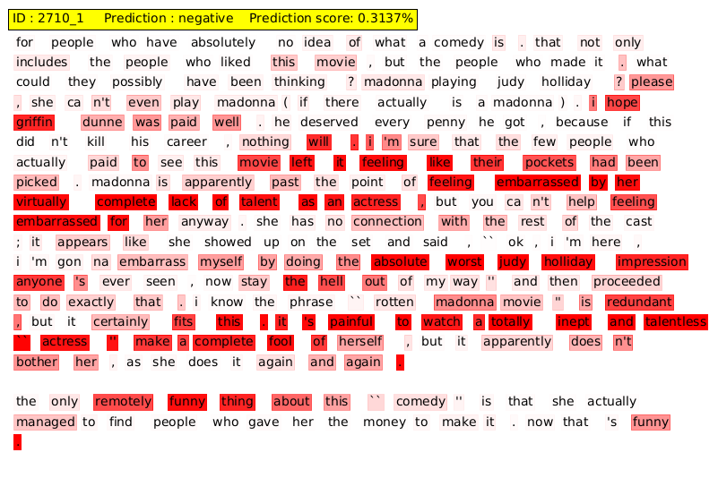 Sentiment Classifier